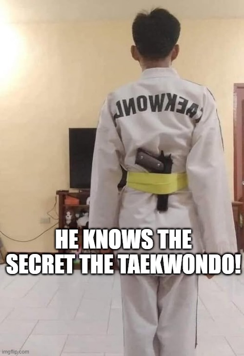 Killer Martial Arts | HE KNOWS THE SECRET THE TAEKWONDO! | image tagged in dark humor | made w/ Imgflip meme maker