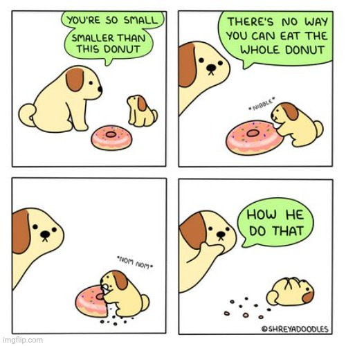 Donut | image tagged in donuts,donut,comics,comics/cartoons,dogs,dog | made w/ Imgflip meme maker