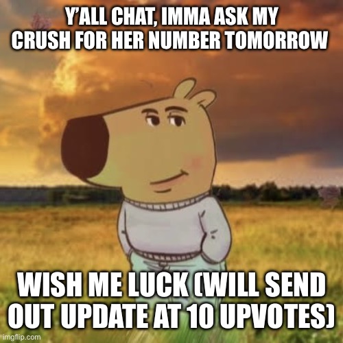 Y’all, pls get it to at least 10 upvotes | Y’ALL CHAT, IMMA ASK MY CRUSH FOR HER NUMBER TOMORROW; WISH ME LUCK (WILL SEND OUT UPDATE AT 10 UPVOTES) | image tagged in chill guy | made w/ Imgflip meme maker