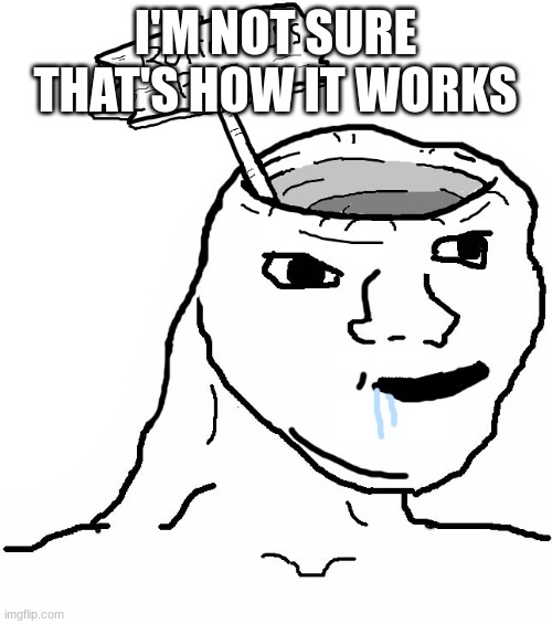 Brainlet Wojak Dumb | I'M NOT SURE THAT'S HOW IT WORKS | image tagged in brainlet wojak dumb | made w/ Imgflip meme maker