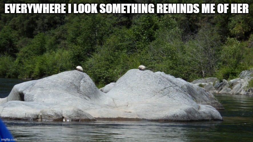 Remind Me | EVERYWHERE I LOOK SOMETHING REMINDS ME OF HER | image tagged in adult humor | made w/ Imgflip meme maker