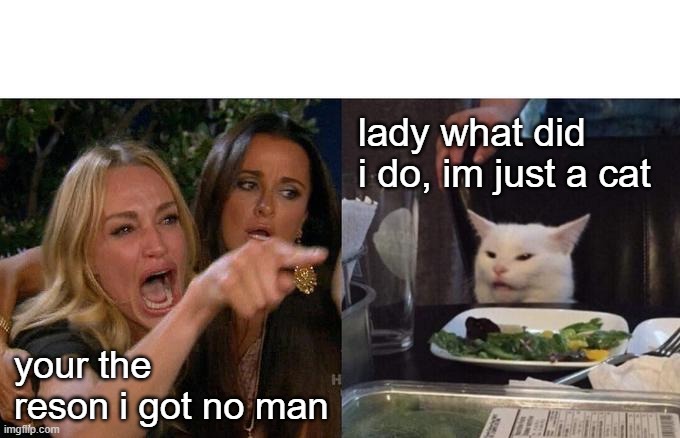 Woman Yelling At Cat | lady what did i do, im just a cat; your the reson i got no man | image tagged in memes,woman yelling at cat | made w/ Imgflip meme maker