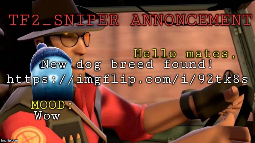 TF2_Sniper announcement temp | New dog breed found!
https://imgflip.com/i/92tk8s; Wow | image tagged in tf2_sniper announcement temp | made w/ Imgflip meme maker