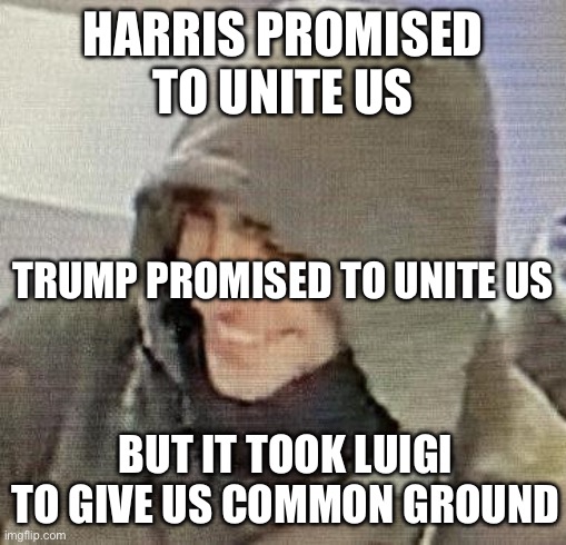 Uniting D’s & R’s | HARRIS PROMISED TO UNITE US; TRUMP PROMISED TO UNITE US; BUT IT TOOK LUIGI TO GIVE US COMMON GROUND | image tagged in health insurance shooter smile | made w/ Imgflip meme maker