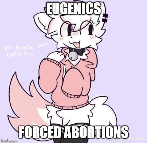 boykisser glow up | EUGENICS; FORCED ABORTIONS | image tagged in boykisser glow up | made w/ Imgflip meme maker