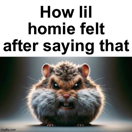 How lil homie felt after saying that | image tagged in how lil homie felt after saying that | made w/ Imgflip meme maker