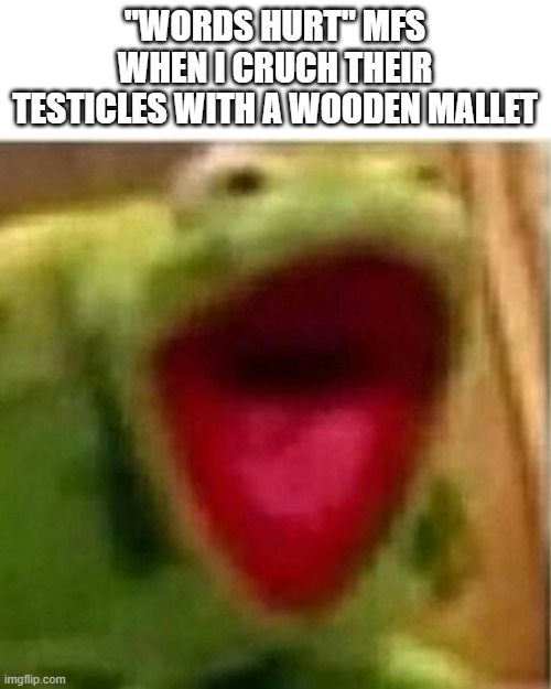 AHHHHHHHHHHHHH | "WORDS HURT" MFS WHEN I CRUCH THEIR TESTICLES WITH A WOODEN MALLET | image tagged in ahhhhhhhhhhhhh | made w/ Imgflip meme maker