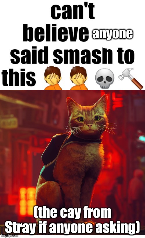 /srs | anyone; (the cay from Stray if anyone asking) | image tagged in can t believe nat said smash to this | made w/ Imgflip meme maker