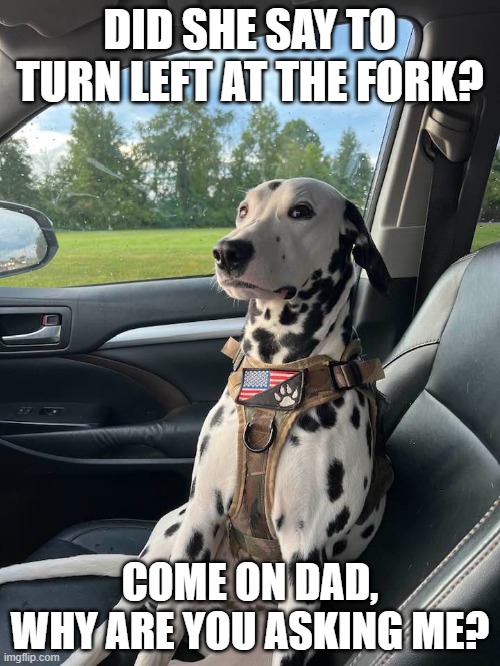 Indi giving me the side eye | DID SHE SAY TO TURN LEFT AT THE FORK? COME ON DAD, WHY ARE YOU ASKING ME? | made w/ Imgflip meme maker