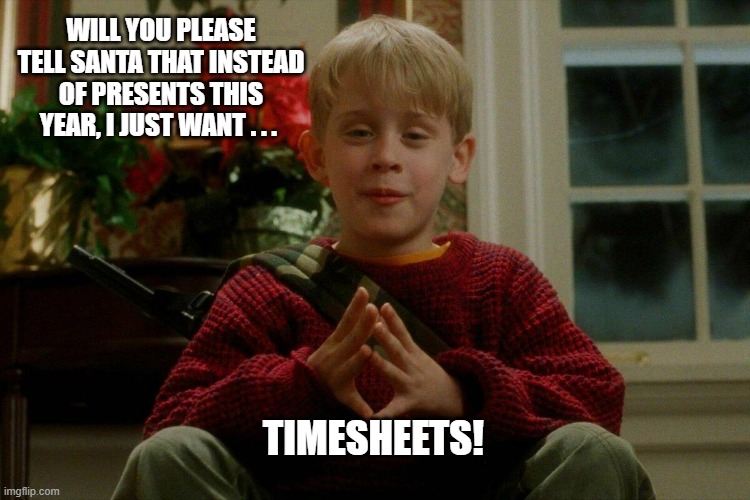 Home Alone Timesheet  Reminder | WILL YOU PLEASE TELL SANTA THAT INSTEAD OF PRESENTS THIS YEAR, I JUST WANT . . . TIMESHEETS! | image tagged in home alone timesheet  reminde,timesheet reminder,meme,funny | made w/ Imgflip meme maker