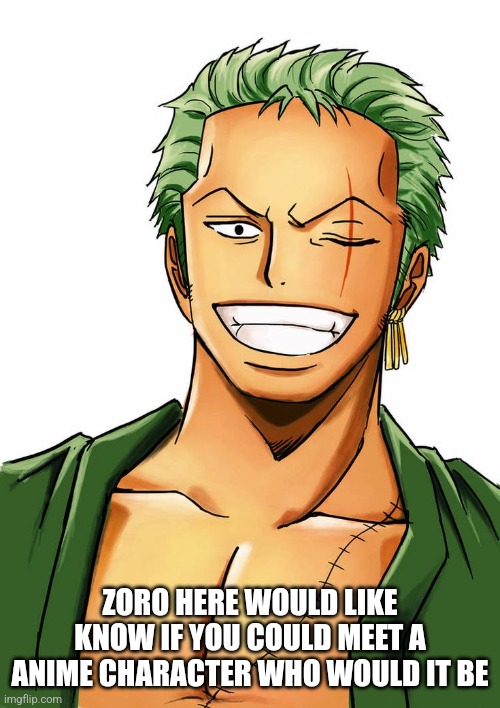 ZOROOOO | ZORO HERE WOULD LIKE KNOW IF YOU COULD MEET A ANIME CHARACTER WHO WOULD IT BE | image tagged in who | made w/ Imgflip meme maker