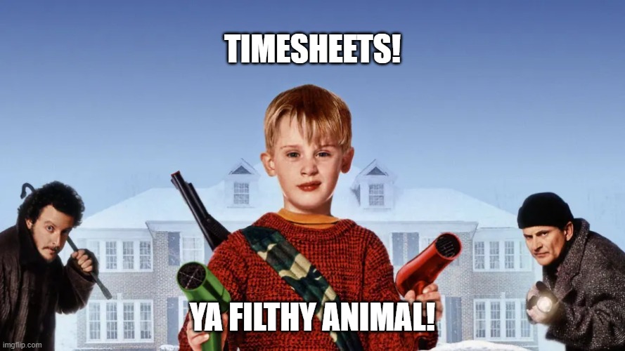 Ya filthy animal timesheet reminder | TIMESHEETS! YA FILTHY ANIMAL! | image tagged in memes,home alone timesheet reminder,timesheet reminder,funny meme | made w/ Imgflip meme maker