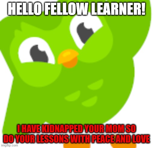 A friendly duolingo | HELLO FELLOW LEARNER! I HAVE KIDNAPPED YOUR MOM SO DO YOUR LESSONS WITH PEACE AND LOVE | image tagged in duolingo meme | made w/ Imgflip meme maker