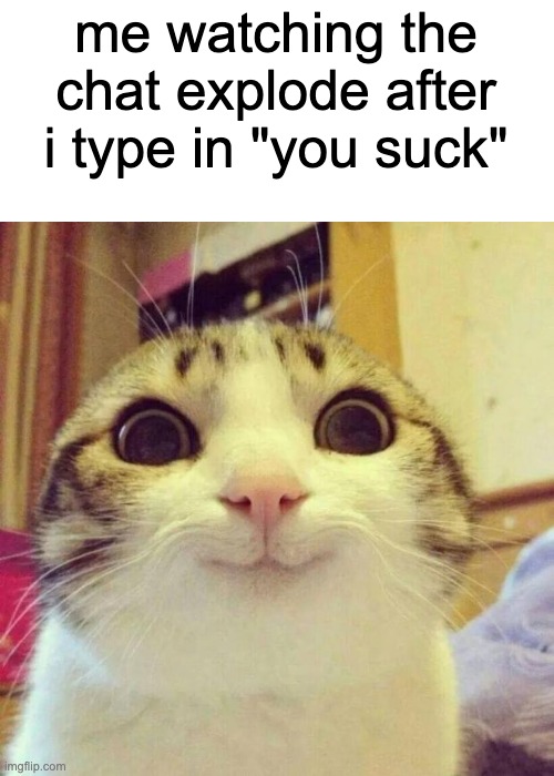 Smiling Cat | me watching the chat explode after i type in "you suck" | image tagged in memes,smiling cat | made w/ Imgflip meme maker