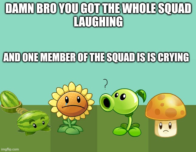 DAMN BRO YOU GOT THE WHOLE SQUAD
LAUGHING; AND ONE MEMBER OF THE SQUAD IS IS CRYING | made w/ Imgflip meme maker