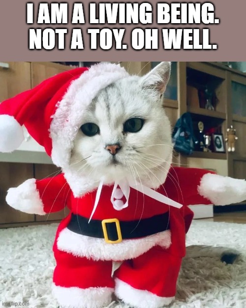 memes by Brad - Cat dressed as Santa Claus doesn't like it too much | I AM A LIVING BEING. NOT A TOY. OH WELL. | image tagged in cats,kittens,santa claus,costume,christmas,cute cat | made w/ Imgflip meme maker