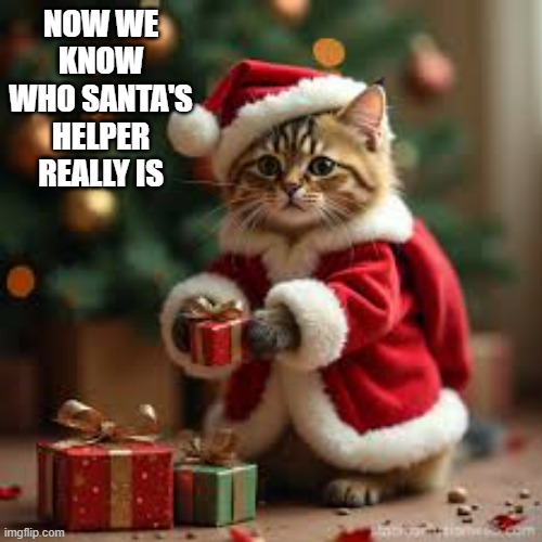 memes by Brad - Santa's little helper is a kitten dressed as Santa Claus !! | NOW WE KNOW WHO SANTA'S HELPER REALLY IS | image tagged in cats,kittens,santa claus,christmas,christmas presents,merry christmas | made w/ Imgflip meme maker