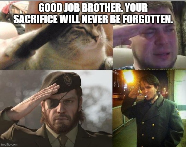 Ozon's Salute | GOOD JOB BROTHER. YOUR SACRIFICE WILL NEVER BE FORGOTTEN. | image tagged in ozon's salute | made w/ Imgflip meme maker