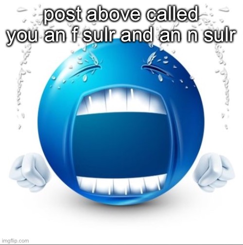 Crying Blue guy | post above called you an f sulr and an n sulr | image tagged in crying blue guy | made w/ Imgflip meme maker