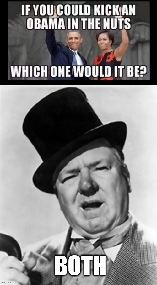 Why not both? | BOTH | image tagged in wc fields,why not both | made w/ Imgflip meme maker