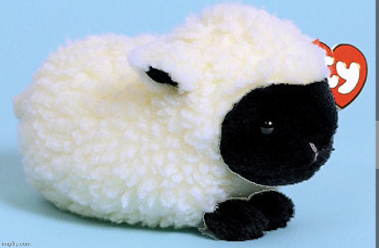 WOOLLY THE LAMB OH MY GOAH SO ADORABLE I WANT 100000000X OF THEM | image tagged in sheep,sheeple,plush,toys,toy,adorable | made w/ Imgflip meme maker