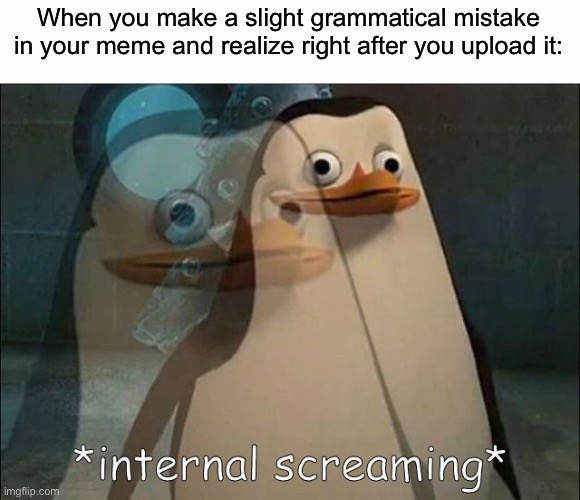 True pain | When you make a slight grammatical mistake in your meme and realize right after you upload it: | image tagged in private internal screaming,memes,grammer,funny,relatable | made w/ Imgflip meme maker