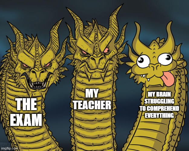 Exams are my biggest weakness... | MY TEACHER; MY BRAIN STRUGGLING TO COMPREHEND EVERYTHING; THE EXAM | image tagged in three-headed dragon | made w/ Imgflip meme maker