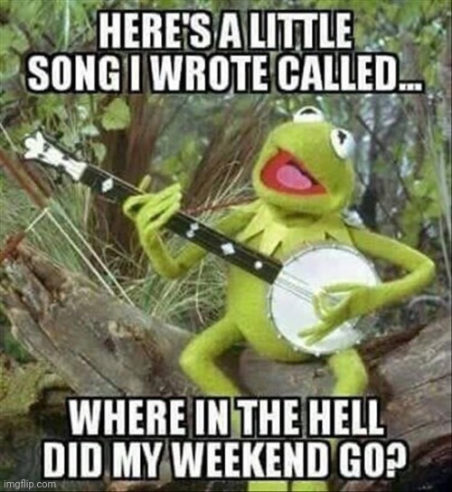 Where the hell did my weekends go and whyyyyyy! | image tagged in kermit the frog,are my weekends gone forever,brevity wants to bring me down,i'm a sad beach babe with no weekends | made w/ Imgflip meme maker