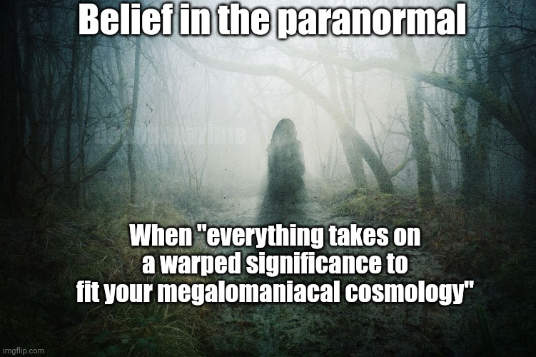 Manifesting | Belief in the paranormal; deadboxprime; When "everything takes on a warped significance to fit your megalomaniacal cosmology" | image tagged in bs in manifesting | made w/ Imgflip meme maker