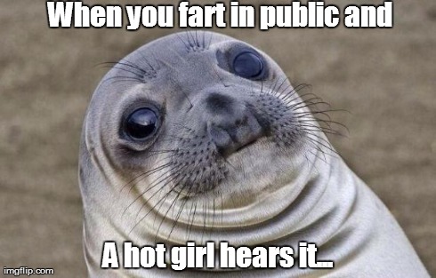 Awkward Moment Sealion | When you fart in public and A hot girl hears it... | image tagged in memes,awkward moment sealion | made w/ Imgflip meme maker