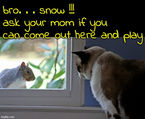 bro. . . snow !!!
ask your mom if you can come out here and play | made w/ Imgflip meme maker