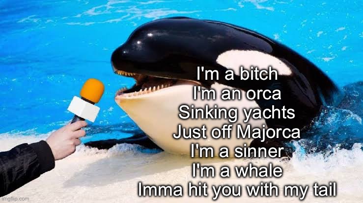 Bitch | I'm a bitch
I'm an orca
Sinking yachts
Just off Majorca
I'm a sinner
I'm a whale
Imma hit you with my tail | image tagged in orca talking into a microphone,bitch,orca,meredith brooks | made w/ Imgflip meme maker