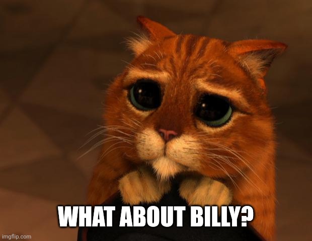 puss in boots eyes | WHAT ABOUT BILLY? | image tagged in puss in boots eyes | made w/ Imgflip meme maker