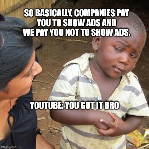 You Got it Bro | SO BASICALLY, COMPANIES PAY
YOU TO SHOW ADS AND
WE PAY YOU NOT TO SHOW ADS. YOUTUBE: YOU GOT IT BRO | image tagged in memes,third world skeptical kid | made w/ Imgflip meme maker