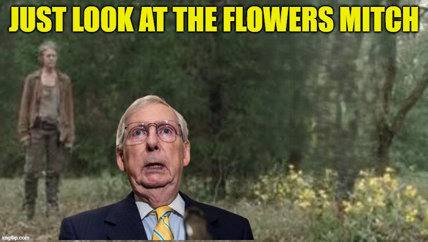 Just look at the flowers | JUST LOOK AT THE FLOWERS MITCH | image tagged in twd,the walking dead,look at the flowers,mitch mcconnell,maga,retire | made w/ Imgflip meme maker