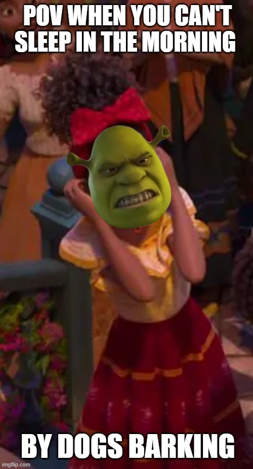 who let the dogs won't stop barking from Shrek 2 scene | POV WHEN YOU CAN'T SLEEP IN THE MORNING; BY DOGS BARKING | image tagged in meme,encanto,shrek,dreamworks,i don't need sleep i need answers | made w/ Imgflip meme maker