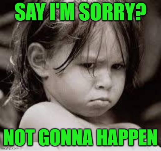 Pouty Little Girl | SAY I'M SORRY? NOT GONNA HAPPEN | image tagged in memes,sorry,it's not gonna happen,sulky | made w/ Imgflip meme maker