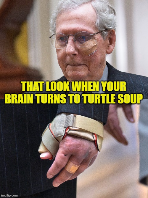 The Turtle has to go | image tagged in mitch mcconnell,congress,maga,rino,retire,the walking dead | made w/ Imgflip meme maker