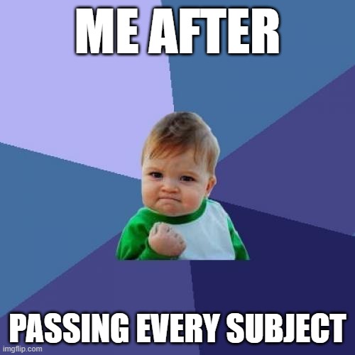 Success Kid Meme | ME AFTER; PASSING EVERY SUBJECT | image tagged in memes,success kid | made w/ Imgflip meme maker