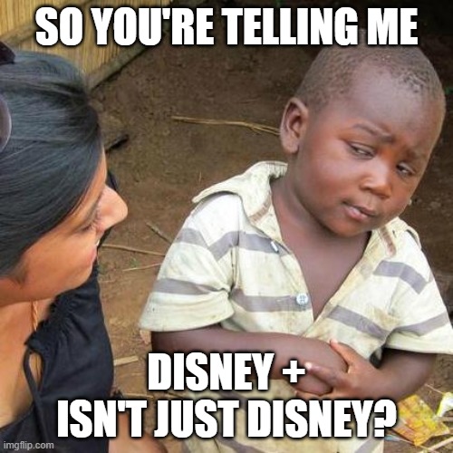 Third World Skeptical Kid | SO YOU'RE TELLING ME; DISNEY + ISN'T JUST DISNEY? | image tagged in memes,third world skeptical kid | made w/ Imgflip meme maker