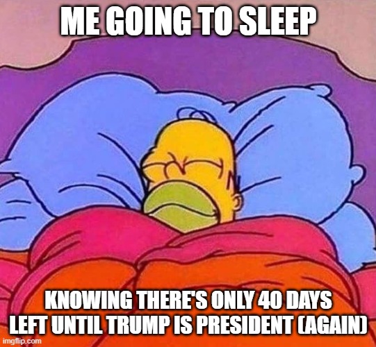 I've noticed that the days sure are going by faster as of late | ME GOING TO SLEEP; KNOWING THERE'S ONLY 40 DAYS LEFT UNTIL TRUMP IS PRESIDENT (AGAIN) | image tagged in homer simpson sleeping peacefully,election 2024,donald trump | made w/ Imgflip meme maker