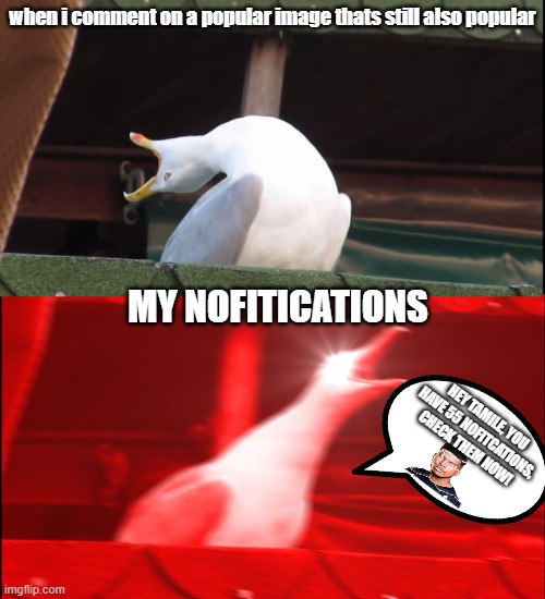 No clever title for you | when i comment on a popular image thats still also popular; MY NOFITICATIONS; HEY TAMILE, YOU HAVE 55 NOFITCATIONS, CHECK THEM NOW! | image tagged in screaming bird | made w/ Imgflip meme maker