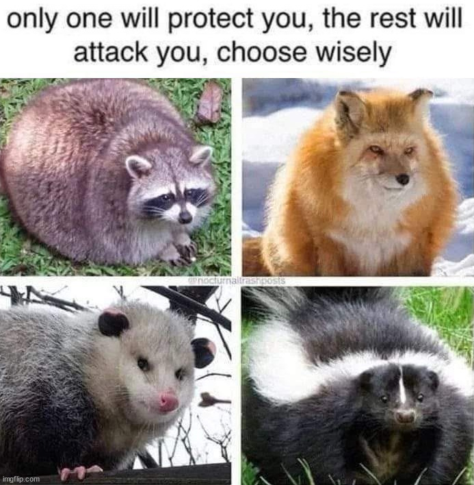 Choose one | image tagged in repost | made w/ Imgflip meme maker