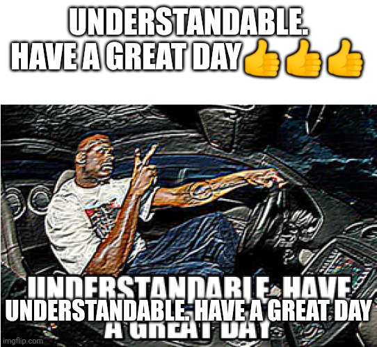 UNDERSTANDABLE, HAVE A GREAT DAY | UNDERSTANDABLE. HAVE A GREAT DAY??? UNDERSTANDABLE. HAVE A GREAT DAY | image tagged in understandable have a great day | made w/ Imgflip meme maker