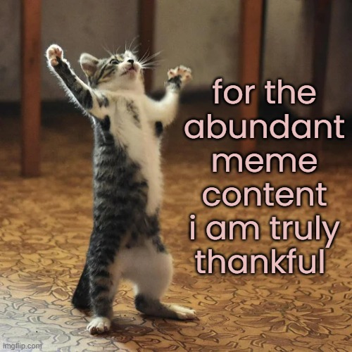 for the
abundant meme content i am truly thankful | made w/ Imgflip meme maker