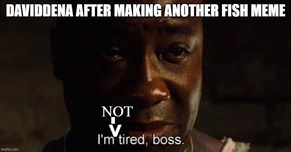 I'm tired boss | DAVIDDENA AFTER MAKING ANOTHER FISH MEME; NOT; -> | image tagged in i'm tired boss | made w/ Imgflip meme maker