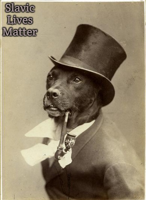 Old Money Dog | Slavic Lives Matter | image tagged in old money dog,slavic | made w/ Imgflip meme maker