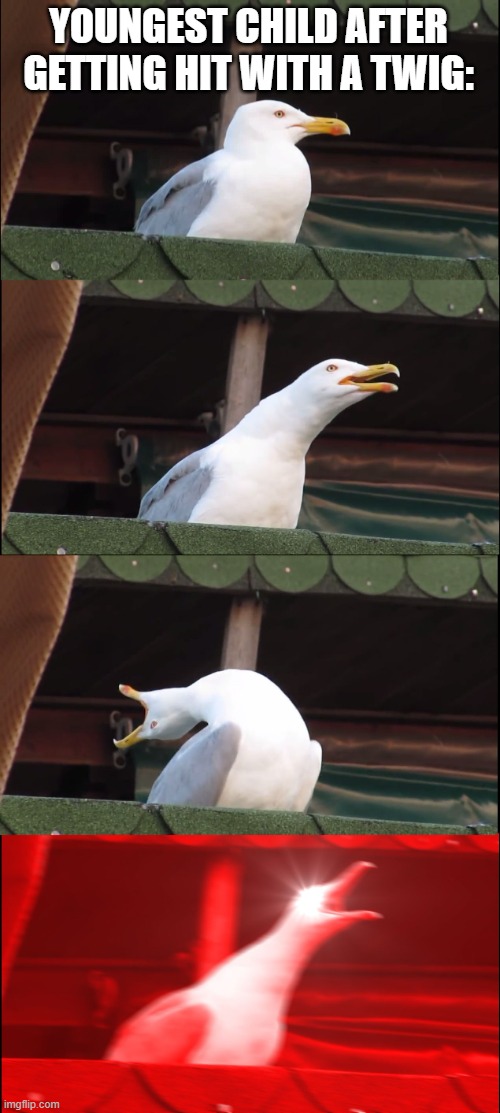 a | YOUNGEST CHILD AFTER GETTING HIT WITH A TWIG: | image tagged in memes,inhaling seagull | made w/ Imgflip meme maker