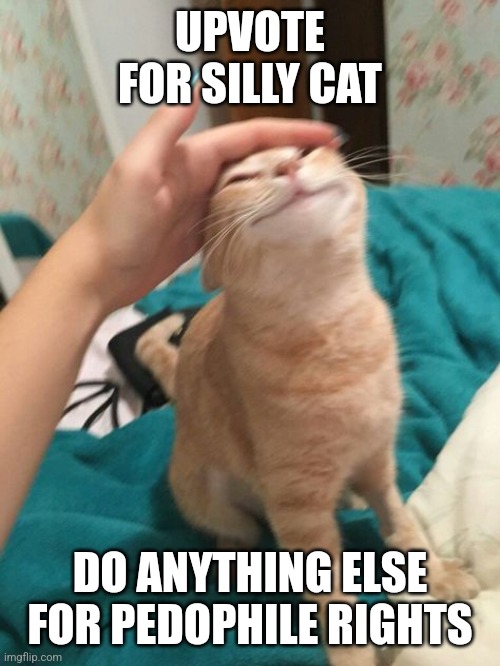 Orange Cat Being Pet | UPVOTE FOR SILLY CAT; DO ANYTHING ELSE FOR PEDOPHILE RIGHTS | image tagged in orange cat being pet | made w/ Imgflip meme maker