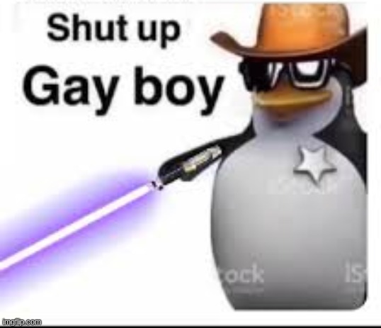 shut up gay boy | image tagged in shut up gay boy | made w/ Imgflip meme maker